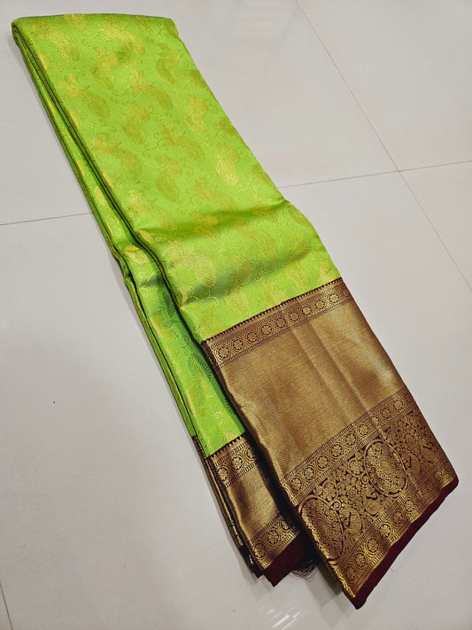 Exclusive Korvai Tissue Silk Sarees 209